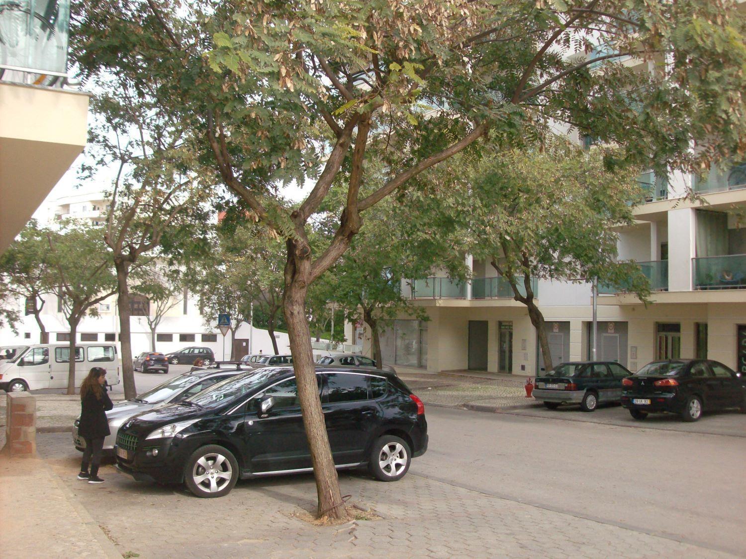 Appartement Pinheiro Portimão Zewnętrze zdjęcie